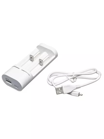 зарядное устройство Robiton Smart 2