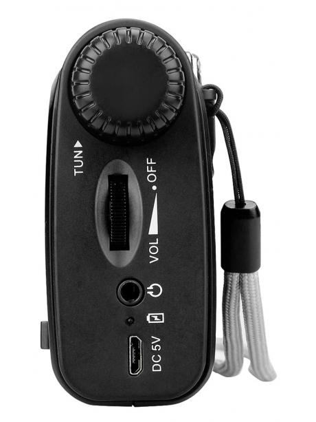 портативный цифровой радиоприемник Retekess TR605 black