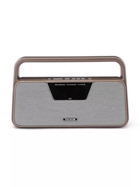 радиоприемник с пультом ДУ и MP3 плеером Tecsun A9 brown
