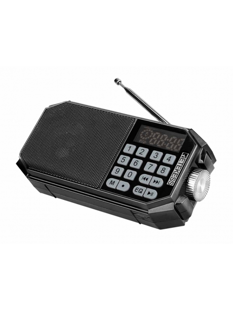 Портативный FM радиоприемник с блютуз Retekess TR610 