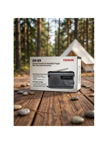 радиоприемник с динамо-генератором Tecsun GR-99 (export version) black