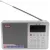 Цифровой радиоприемник с mp3 плеером Tecsun ICR-110 (export version) silver