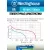 аккумуляторы Westinghouse 2100 mAh  R6/AA 12шт. 