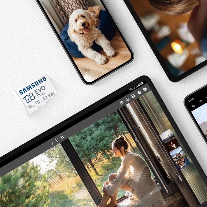 карта памяти Samsung 128Gb microSDXC Class 10 Evo Plus A2 V30 UHS-I (R/W 90/160 MB/s)